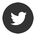p9.webp